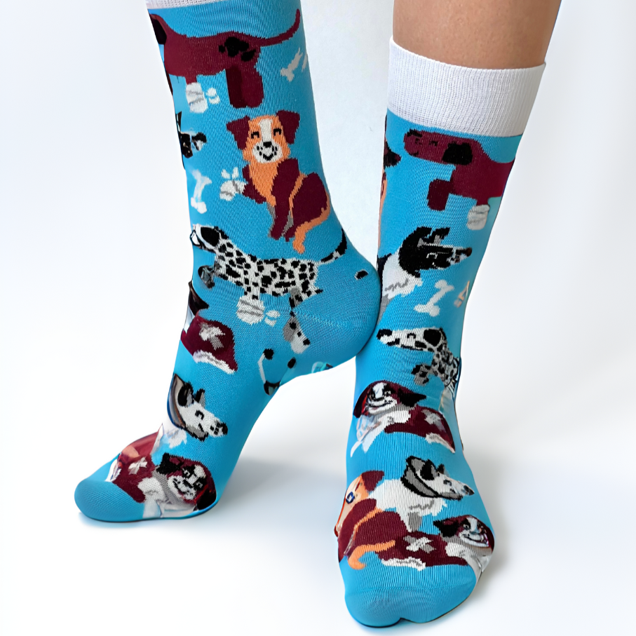 Hunde Socken blau 🐶